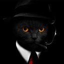 vcodes.xyz - https://cdn.discordapp.com/avatars/1231252925397860354/6c863d3aaeeaf1c4dc6f24371e408fcd.png