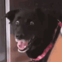 vcodes.xyz - https://cdn.discordapp.com/avatars/671610747570225162/06fc8c971119678ad850510f249a3548.png
